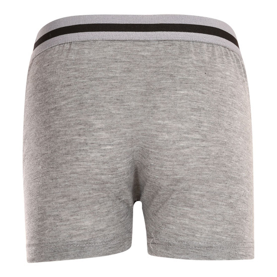 Boxers para niños Gianvaglia gris (023)