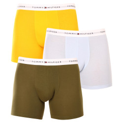 3PACK Boxers para hombre Tommy Hilfiger multicolor (UM0UM02941 0W8)