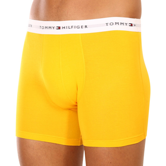 3PACK Boxers para hombre Tommy Hilfiger multicolor (UM0UM02941 0W8)