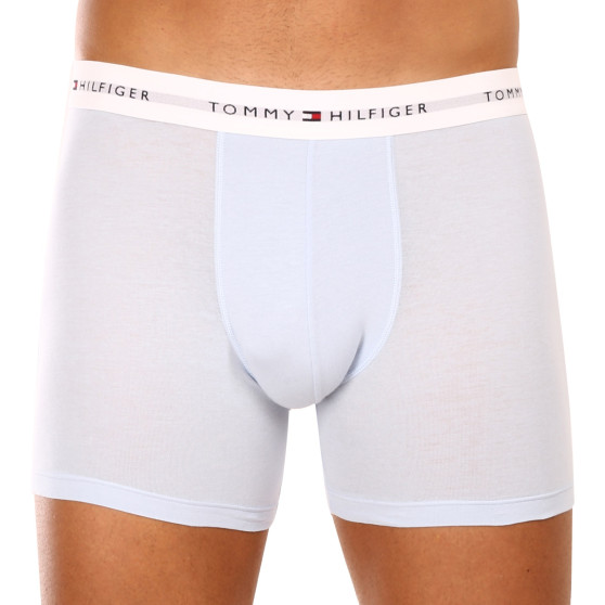 3PACK Boxers para hombre Tommy Hilfiger multicolor (UM0UM02941 0W8)