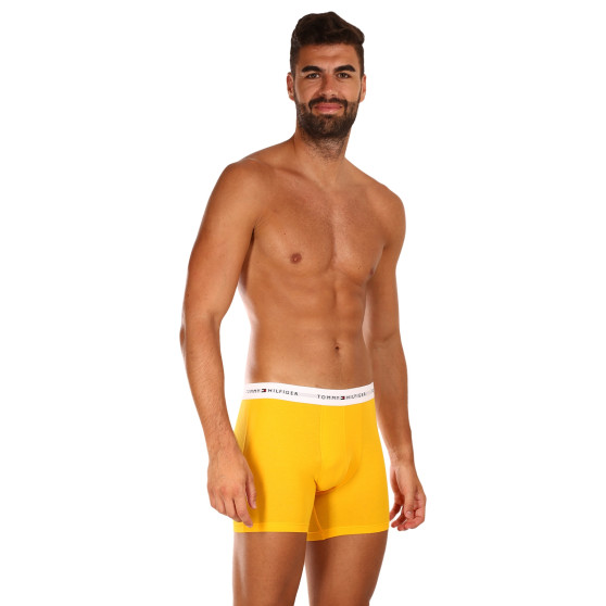 3PACK Boxers para hombre Tommy Hilfiger multicolor (UM0UM02941 0W8)