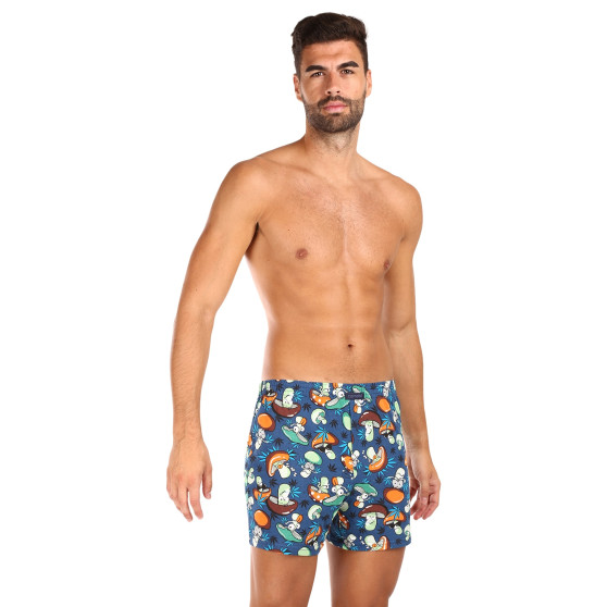 Calzones de hombre Cornette Classic multicolor (001/141)