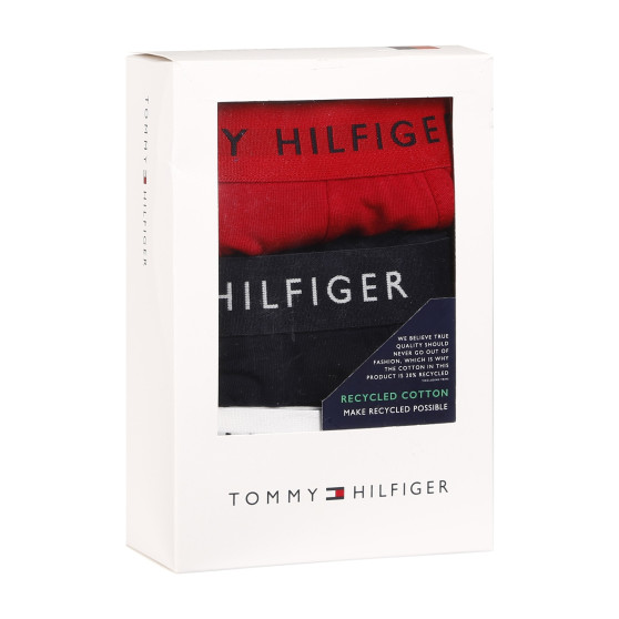 3PACK Boxers para hombre Tommy Hilfiger multicolor (UM0UM02203 0WS)