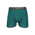 Boxers para hombre Gianvaglia verde (024-green)