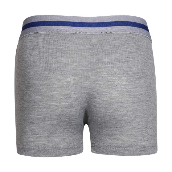 5PACK Boxers para niños Gianvaglia multicolor (023)