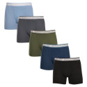 5PACK Boxers para hombre Gianvaglia multicolor (GVG-5013)