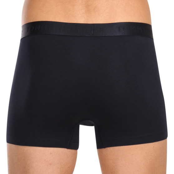 3PACK Boxers para hombre Tommy Hilfiger multicolor (UM0UM02760 0WL)