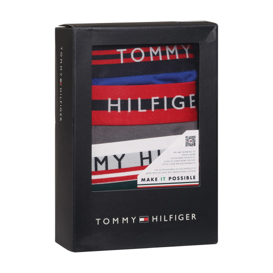 3PACK Boxers para hombre Tommy Hilfiger multicolor (UM0UM03007 0UF)