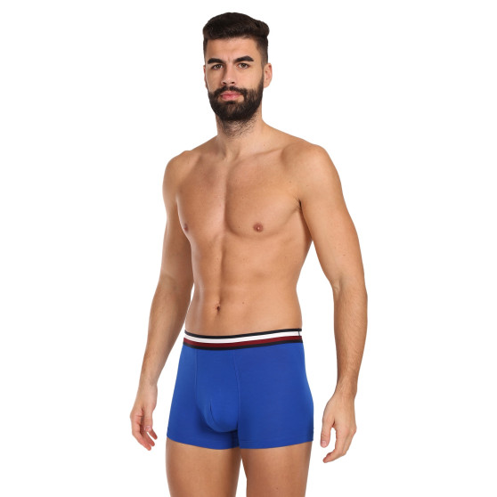 3PACK Boxers para hombre Tommy Hilfiger multicolor (UM0UM03035 0UG)