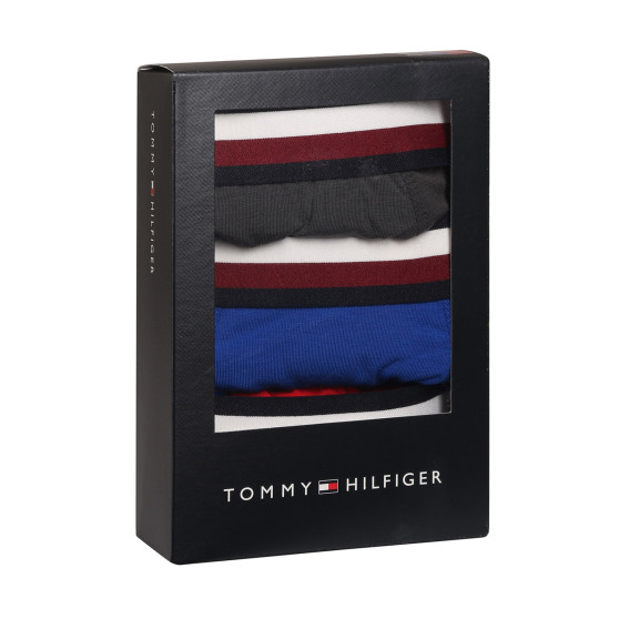 3PACK Boxers para hombre Tommy Hilfiger multicolor (UM0UM03035 0UG)