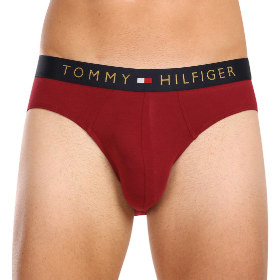 5PACK calzoncillos para hombre Tommy Hilfiger multicolor (UM0UM03037 0WJ)