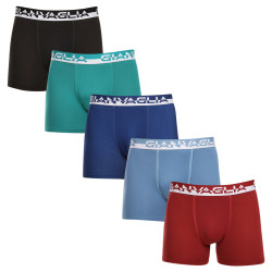 5PACK Boxers para hombre Gianvaglia multicolor (GVG-5011)