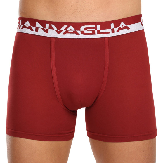 5PACK Boxers para hombre Gianvaglia multicolor (GVG-5011)