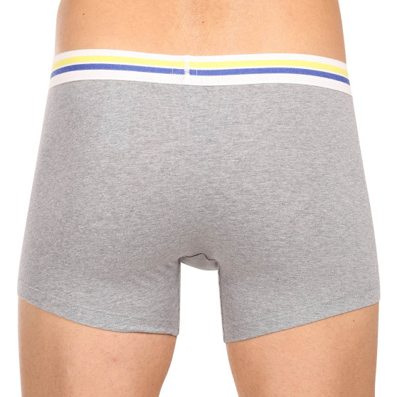 2PACK Boxers para hombre Levis multicolor (701222843 009)