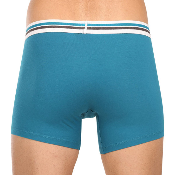 2PACK Boxers para hombre Levis multicolor (701222843 010)