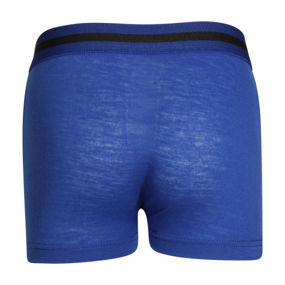 Boxers para niños Gianvaglia azul (023)