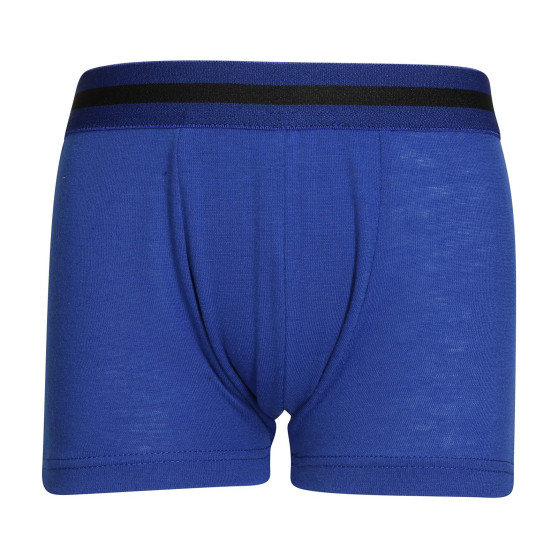 Boxers para niños Gianvaglia azul (023)