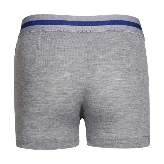 Boxers para niños Gianvaglia gris (023)