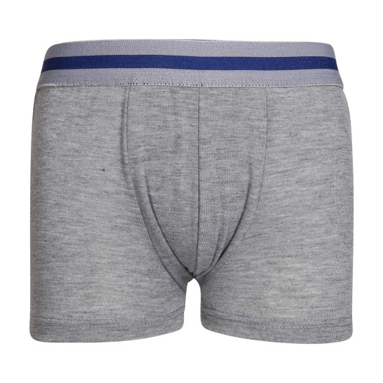 Boxers para niños Gianvaglia gris (023)