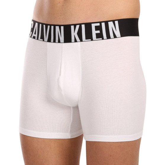 3PACK Boxers para hombre Calvin Klein multicolor (NB3609A-MP1)