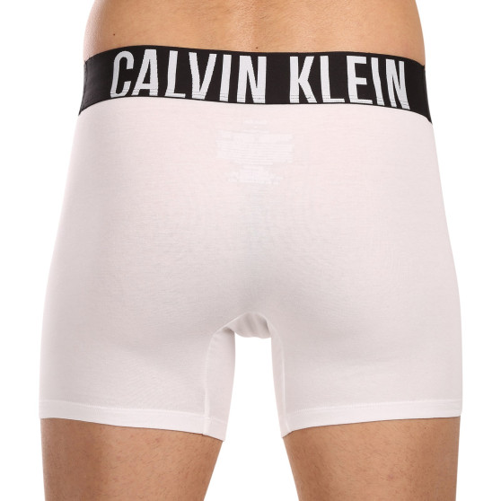 3PACK Boxers para hombre Calvin Klein multicolor (NB3609A-MP1)