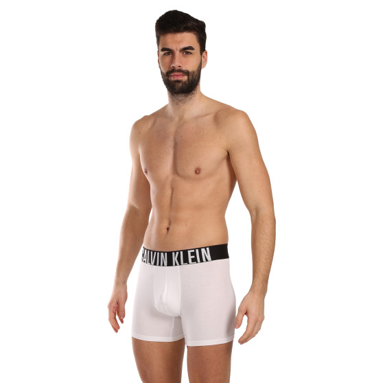 3PACK Boxers para hombre Calvin Klein multicolor (NB3609A-MP1)