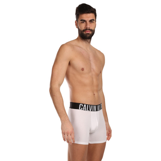 3PACK Boxers para hombre Calvin Klein multicolor (NB3609A-MP1)