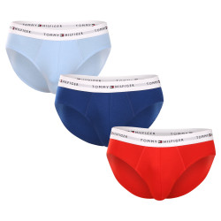 3PACK calzoncillos para hombre Tommy Hilfiger multicolor (UM0UM02764 0XZ)