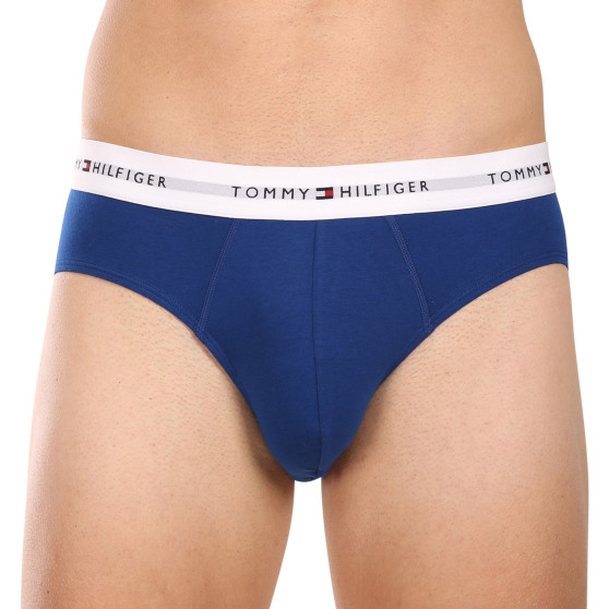 3PACK calzoncillos para hombre Tommy Hilfiger multicolor (UM0UM02764 0XZ)