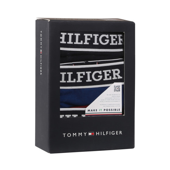 3PACK Boxers para hombre Tommy Hilfiger multicolor (UM0UM03185 0SX)