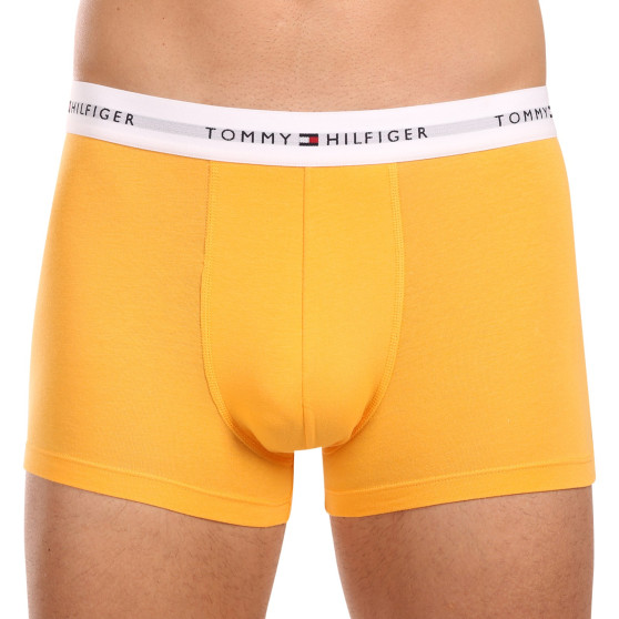 3PACK Boxers para hombre Tommy Hilfiger multicolor (UM0UM02761 0VI)