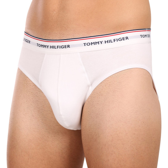 3PACK calzoncillos para hombre Tommy Hilfiger multicolor (1U87903766 004)