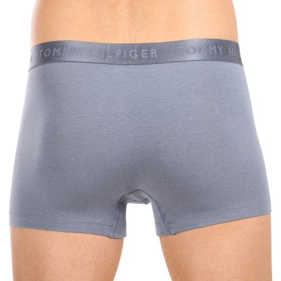 3PACK Boxers para hombre Tommy Hilfiger multicolor (UM0UM02760 0Y3)