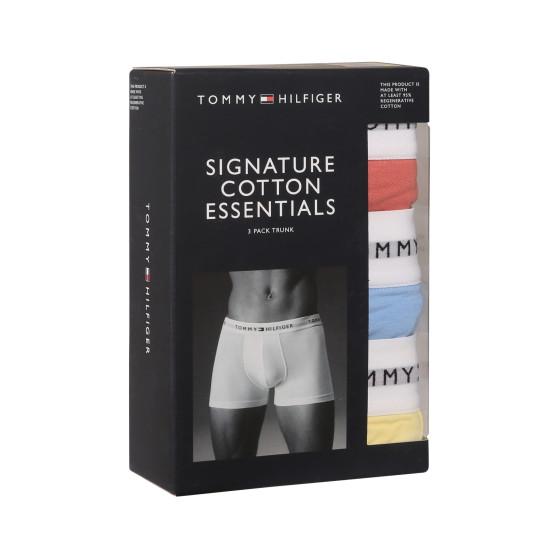 3PACK Boxers para hombre Tommy Hilfiger multicolor (UM0UM02761 0XM)