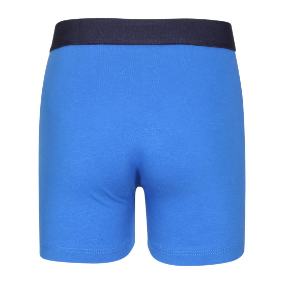 2PACK Boxers de niño Puma multicolor (701225791 002)