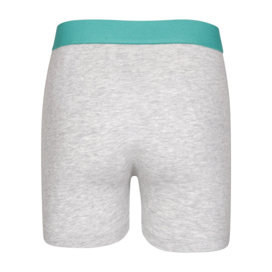 2PACK Boxers de niño Puma multicolor (701225791 001)