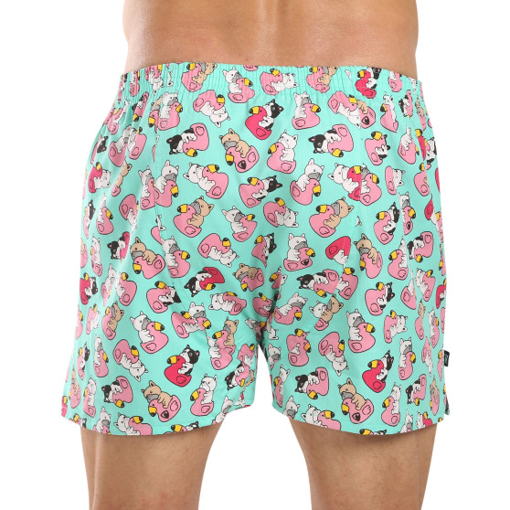 Represent Pantalones cortos de baño exclusivos para hombre Ali Bulldog (R4M-BOX-0611)